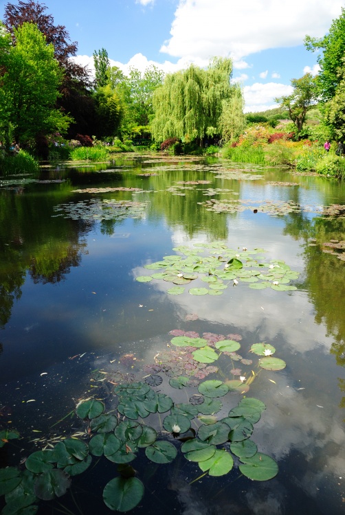 聞香識(shí)旅途 你喜歡的味道決定了你的旅行目的地