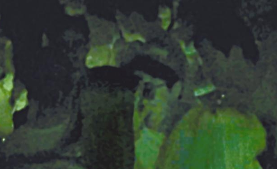 房祖名去年被港媒直擊在中環(huán)夜店與長(zhǎng)發(fā)妞互動(dòng)曖昧，女生正是Nana