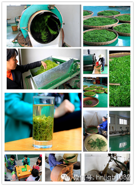 制茶的工藝真地道，仿佛聞到了茶香