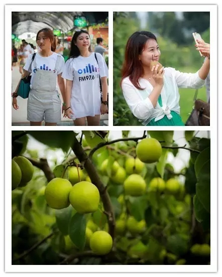 美女與香梨，你更愛哪一個(gè)？！