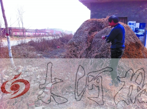 張哥、張弟就是在這兒撿到的投毒面包。