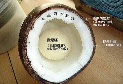 你在甜品店常吃的東西，到底都是啥？