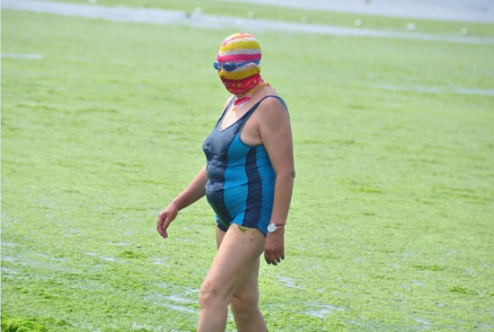 2013年7月3日，山東青島青島高溫來襲，“青島大媽”不懼滸苔，戴著“強盜面具”出現(xiàn)在海水浴場消暑降