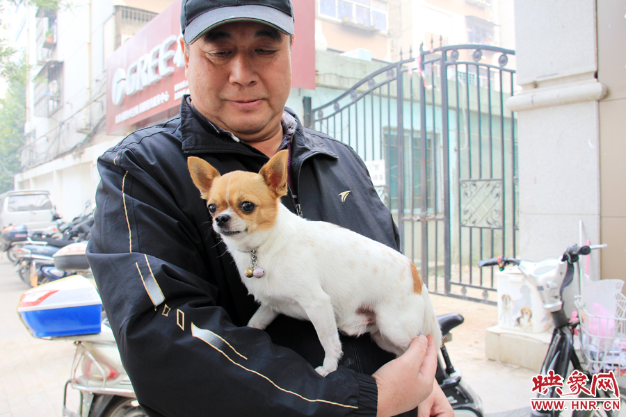 在市民眼里，小狗狗都是他們的小寶貝