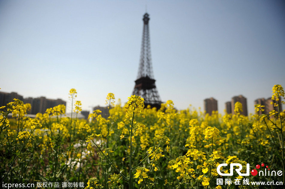 　2014年3月21日，杭州天都城，農(nóng)民在山寨埃菲爾鐵塔下耕作。圖片來源：東方IC