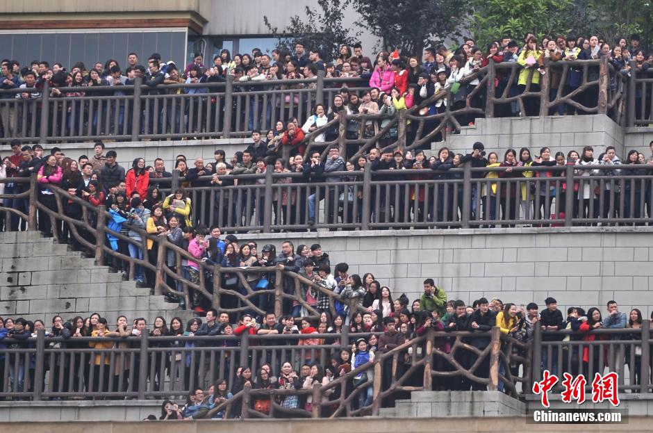 重慶上萬(wàn)粉絲在南濱路等待《奔跑吧兄弟》節(jié)目的錄制。