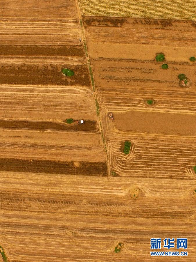 這是5月28日在河南省南陽(yáng)市唐河縣甘河灣村航拍的麥?zhǔn)宅F(xiàn)場(chǎng)。