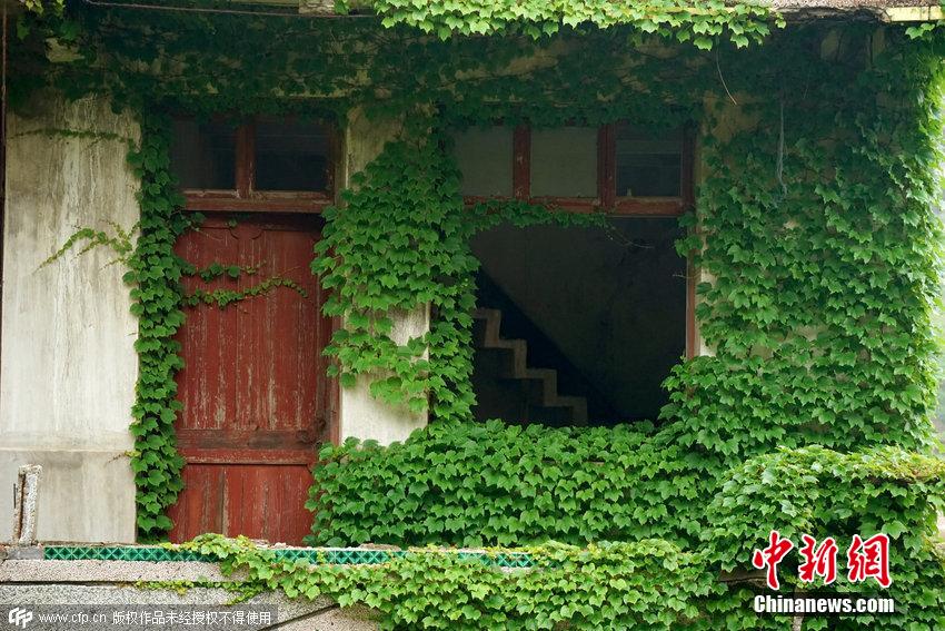 浙江舟山一荒廢海島宛如綠色童話(huà)世界