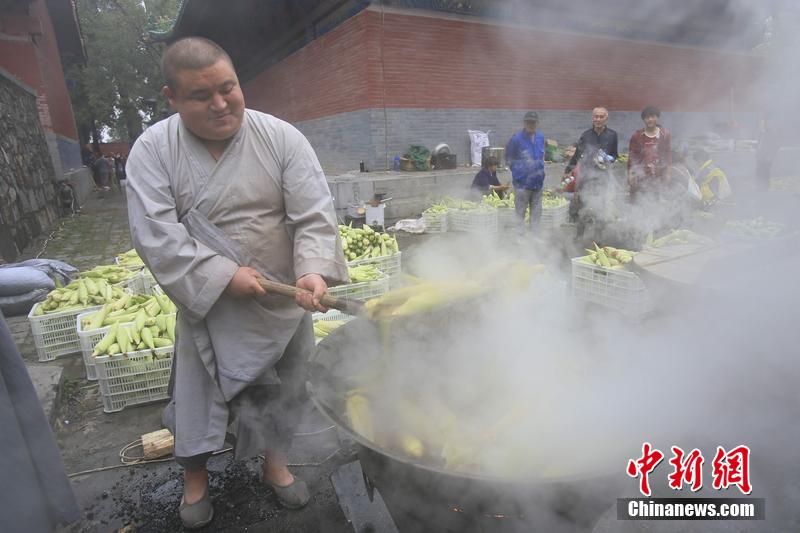 少林禪耕農(nóng)場(chǎng)迎來(lái)秋收 免費(fèi)煮玉米送游客 少林禪耕農(nóng)場(chǎng)迎來(lái)秋收 免費(fèi)煮玉米送游客
