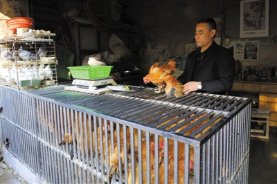 南京另一家農(nóng)貿(mào)市場內(nèi)待售的活雞。因南京出現(xiàn)H7N9禽流病例，買活雞的顧客減少。