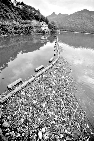 7月7日，廣西賀州市賀江合面獅段被污染的水域。據(jù)新華社