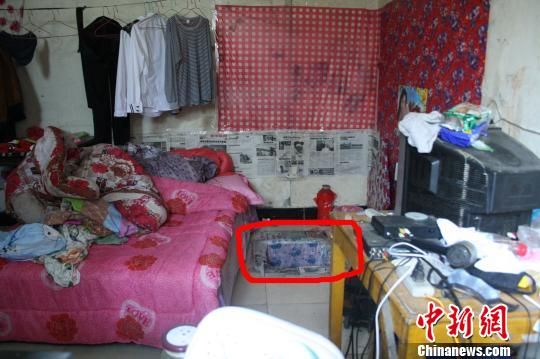 圖上紅圈內(nèi)為嫌犯所挖地窖入口。 吳佳蔚 攝