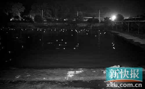 昨日，西湖村鱷魚養(yǎng)殖場已修復(fù)圍欄。