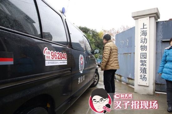 殯葬車到達(dá)現(xiàn)場。新民網(wǎng) 記者 蕭君瑋 攝