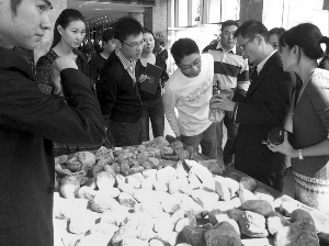 前段時間，夫子廟古玩城舉行的一場賭石活動，吸引了不少人參與