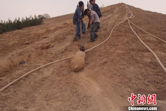 　4月27日上午，當?shù)卮迕裨诠系販洗逡痪G化處挖出一枚長1米，重200斤的炸彈，5月10日，這枚炸彈已
