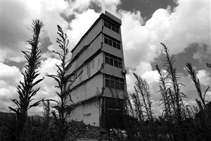 這幢5層的“片片樓”周圍已是一片拆遷后的廢墟，左邊的一堵墻上，不少鋼筋裸露在外面 圖片來源：新華網(wǎng)