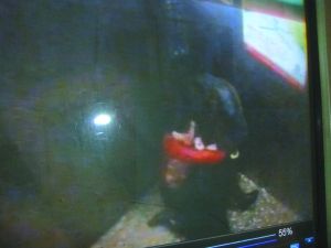 男子將侯某撲倒，侯某反抗。