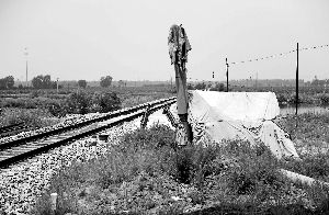 6月30日， 農(nóng)戶用搭建的窩棚和電線桿阻擋了鐵路的施工。新華社發(fā)