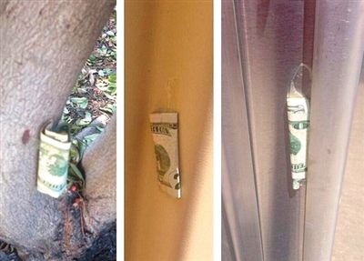 “隱藏的鈔票”會被神秘人藏在公園、廁所等“奇怪的地方”。