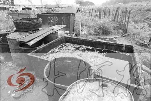 　　骯臟、令人作嘔的油桶凌亂地擺放在院子里，為了避免視覺刺激，我們把它做成了黑白圖片。