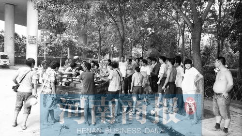 北環(huán)南陽(yáng)路立交橋下，瓜農(nóng)小秦被打后，附近瓜農(nóng)紛紛圍了上來(lái)