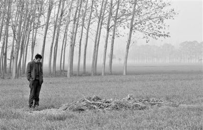 11月21日，高松中站在腦癱雙胞胎兒子墳前。