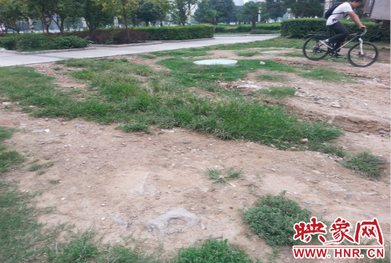 公園內(nèi)大片草坪遭到破壞。