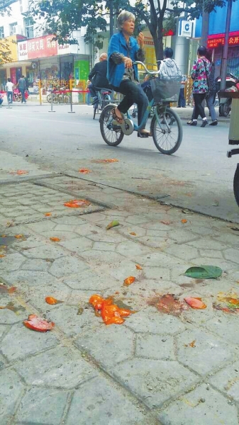 爛了一地的柿子影響市容，還常?；谷?。