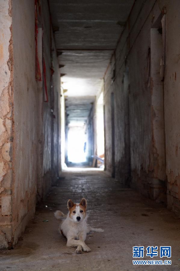 農(nóng)場棚戶區(qū)的最后留守家庭：留下的是回憶，迎來的是幸福