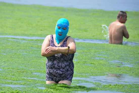 2013年7月3日，山東青島青島高溫來襲，“青島大媽”不懼滸苔，戴著“強盜面具”出現(xiàn)在海水浴場消暑降