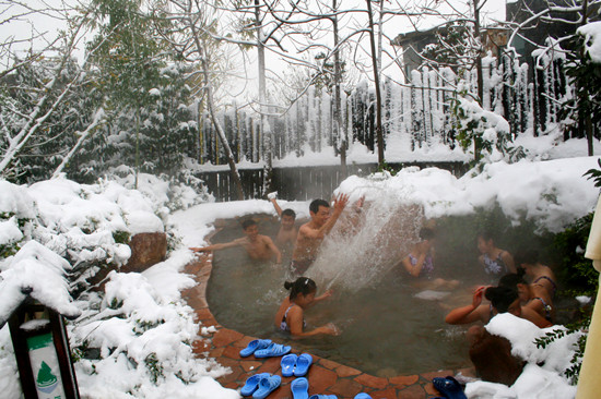 第三屆鄢陵臘梅文化節(jié)盛大開幕邀您來(lái)