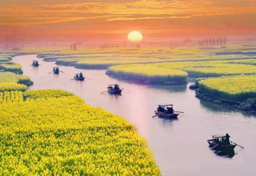 如何拍攝油菜花？達人教你7個拍攝技巧