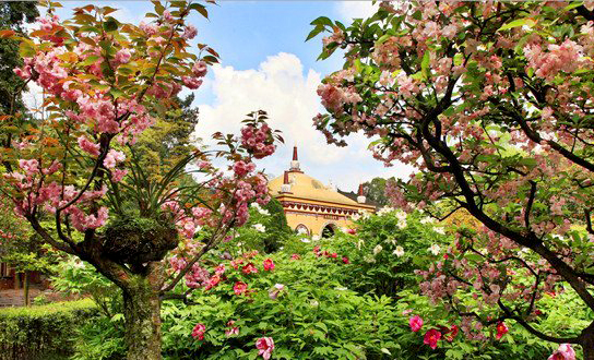 麻辣冬日二三五，芳菲三月看峨眉