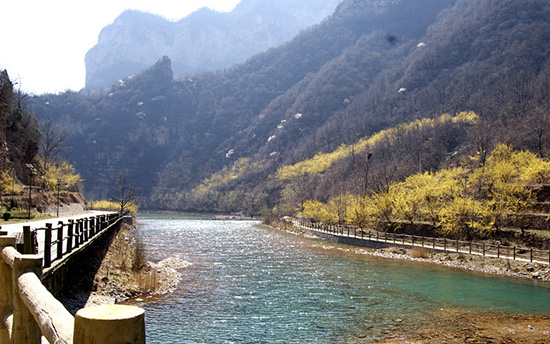 有一種呼喚，叫春天里的蟒河！