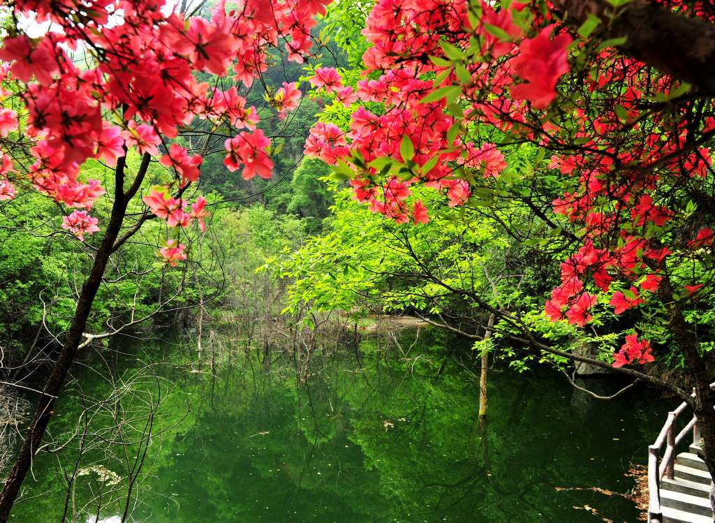 母親節(jié)河南景區(qū)優(yōu)惠大波來襲！