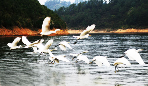 考完去哪兒？千島湖中、高考生門票大優(yōu)惠！