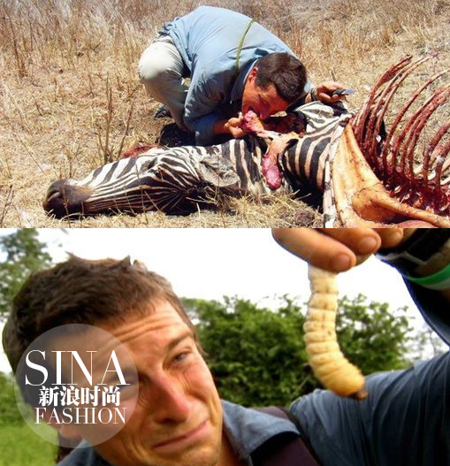 大型動(dòng)物和肉蟲子……也都能生吞活剝！