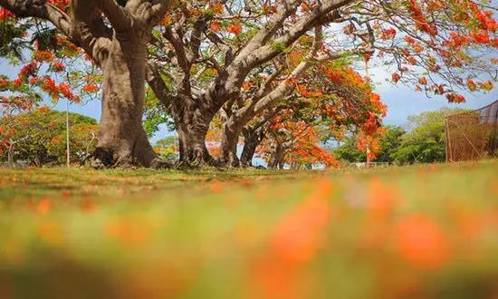 適合在冬天旅游的十個(gè)絕美海島！