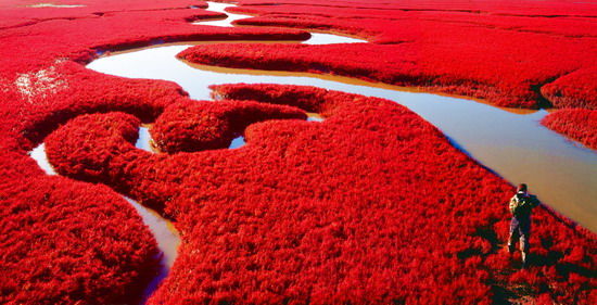 樂(lè)享綠色夏日 濕地公園生態(tài)親水之旅