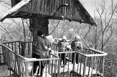 　　clubmed里有來自國外的滑雪教練教兒童滑雪?！? oldsrc=