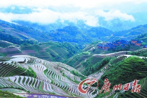 　　龍勝梯田大氣而立體。
