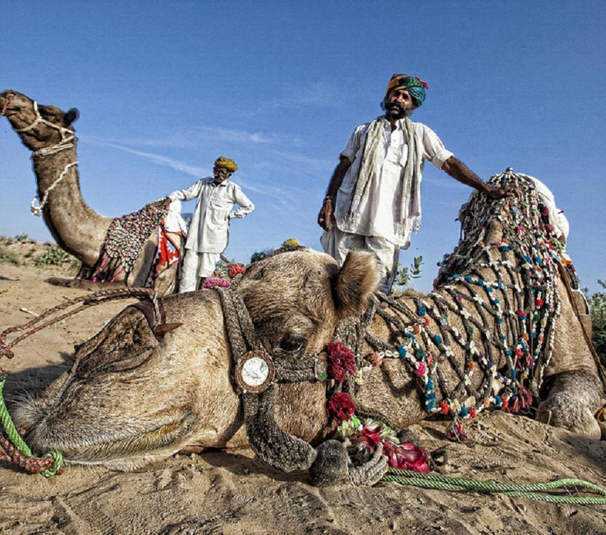 全家出國(guó)游去哪里？推薦十佳旅游勝地
