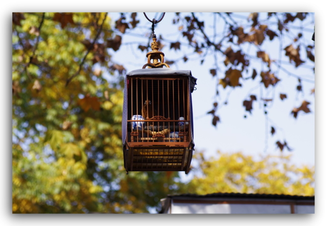 杭州那些脈脈含情巷陌間 杭州那些脈脈含情巷陌間