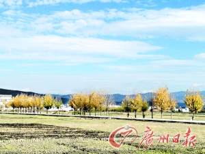 　　大理洱海湖畔美麗的鄉(xiāng)村景色。