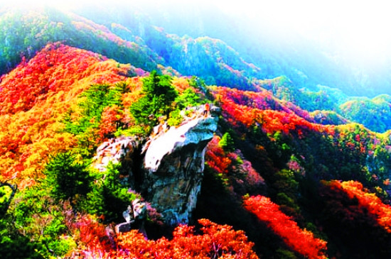 中秋賞月祈福獻(xiàn)孝心 父母免費游堯山