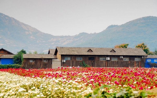 別樣蜜月，河南最適宜新婚度假的景區(qū)