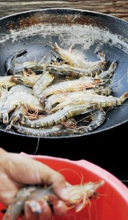 海鮮排擋是這里不可錯(cuò)過的一道景觀