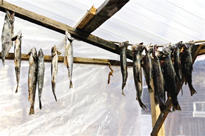 長(zhǎng)白山腳下一家小餐館內(nèi)晾曬的冷水魚(yú)。