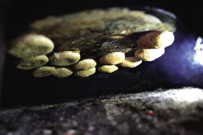 吊爐燒餅是黃驊最典型的面食之一，這種手藝在一些老院子里已經(jīng)傳承了上百年時(shí)間。